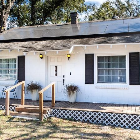 Cozy Home Near Busch Gardens Adventure Island And Usf Tampa Exteriör bild